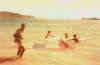 Arct202.jpg (20567 octets)
