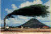 Aruba.jpg (27205 octets)