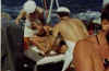 Ligne100.jpg (23956 octets)