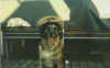 Marilou.jpg (22126 octets)